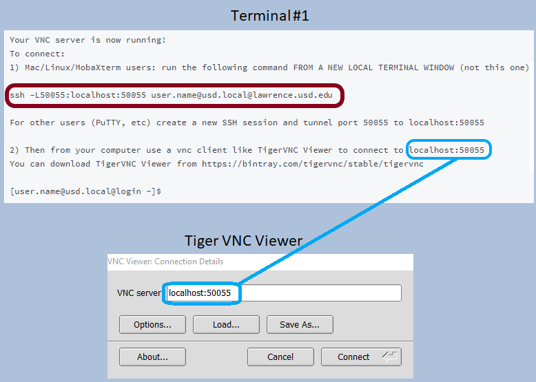vnc server does not allow copy paste